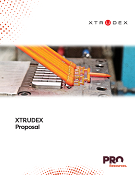 XTRUDEX proposal