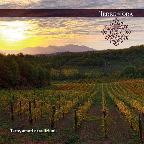 TERRE DI TORA - BROCHURE