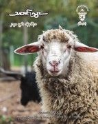 2020 Jan News Letter
