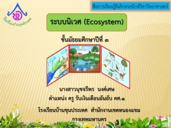 งานนำเสนอ PowerPoint