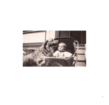 The Early Life and Times of Bob Card