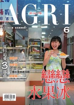 鄉間小路 [2017年6月號]戀戀水果冰