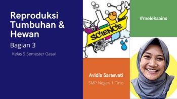 PowerPoint Presentation