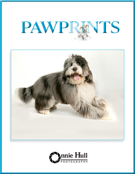 pawprints