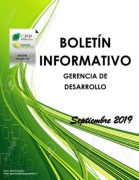 2do Boletin Gerencia de Desarrollo