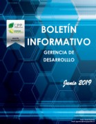 1er Boletin Gerencia de Desarrollo - CPP/EPSA