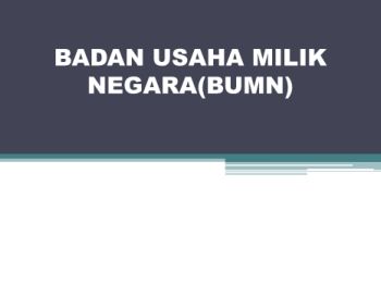 BADAN USAHA MILIK NEGARA(BUMN)