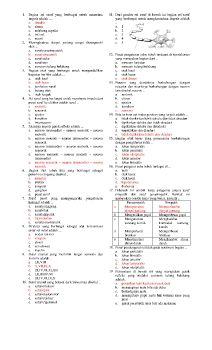 revisi 4 modul sistem saraf_Neat