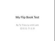 My Flip Book Test