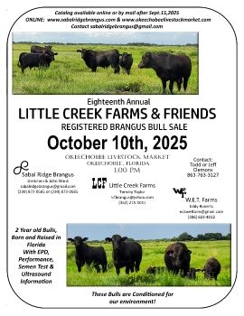 2025 LCF & Friends Brangus Bull Sale Catalog