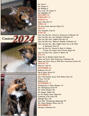 2024 in review
