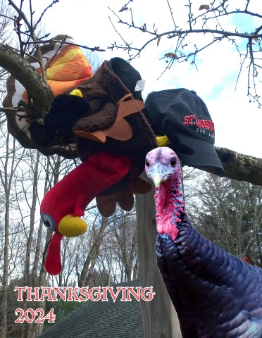 2024 thanksgiving