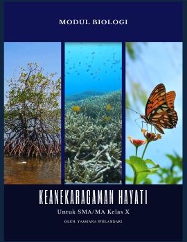 MODUL  KEHATI -X-BY YASSIANA WULANDARI