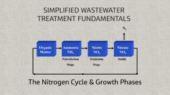 Simplified Wastewater Treatment Fundamentals\The Nitrogen Cycle & Growth Phases