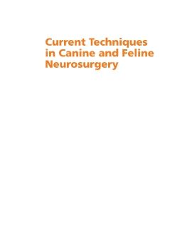 Current Techniques in Canine and Feline Neurosurgery