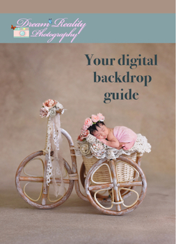 2026 NEWBORN DIGITAL BACKDROP GUIDE