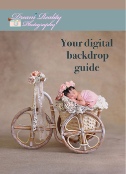 Newborn digital backdrop guide 2024