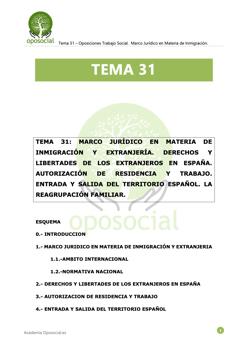 OPOSOCIAL - TEMA 33 ESQUEMA