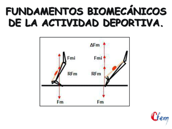 BASES ANATÓMICAS Y FISIOLÓGICAS DEL DEPORTE I