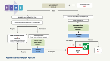 ALGORITMO ACTUACIÓN ADULTO