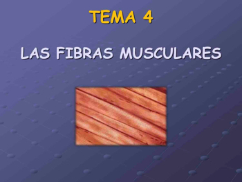 TD2_BASES_A_TEMA4