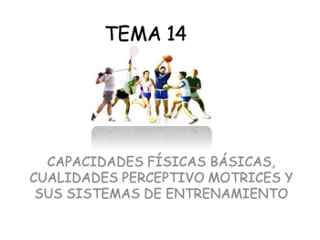 TEMA 14 Bases del Entrenamiento Deportivo