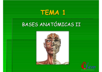 TD2_BASES_A_TEMA1