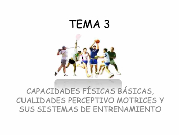 TEMA 3