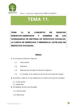 OPOSOCIAL_TS_TEMA_11_esquema