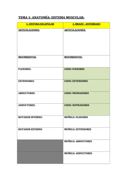 TD2_BAF_T1_actividad