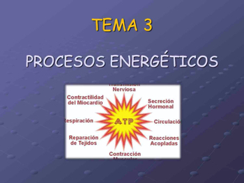 TD2_BASES_A_TEMA3