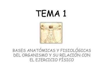 Bases_tema1