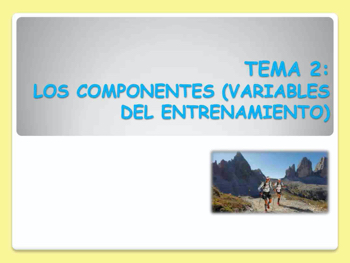 TD2_ENTRENAMIENTO_TEMA2