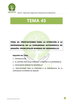 OPOSOCIAL- TEMA 45