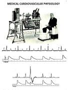 MedicalCardiovascularPhsyiology2013_Mayrovitz_Neat