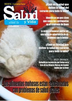 REVISTA QUINCENAL  SALUD Y VIDA NOVIEMBRE 2025