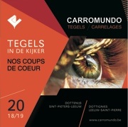 Carromundo - Tegels in de kijker - Nos coups de coeur