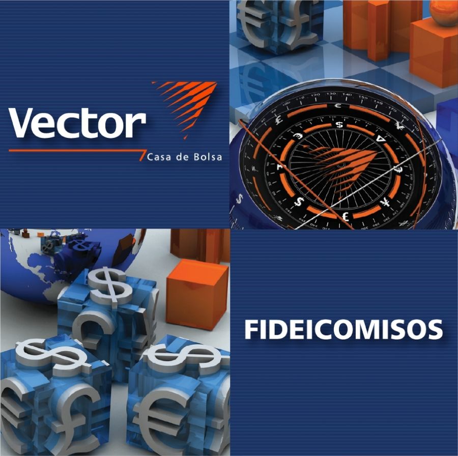 Fideicomisos - Vector Casa de Bolsa