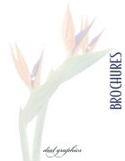 Dial Graphics_Brochures/Flyers