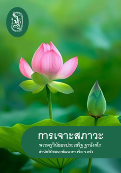 การเจาะสภาวะ