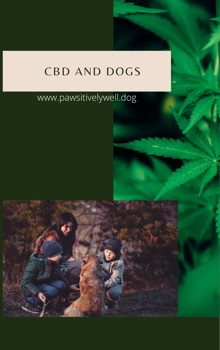 CBD Oil and Dogs