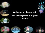 Idagrex 2014