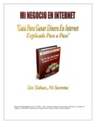 Mi Negocio en Internet