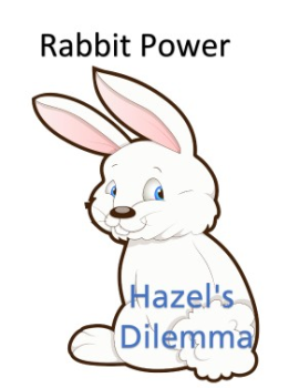 Hazels Dilemma CS