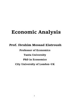 Economic Analysis_Neat