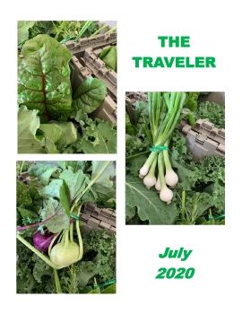 July 2020 Traveler