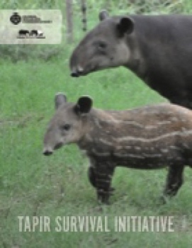 Tapir_interactivePDF