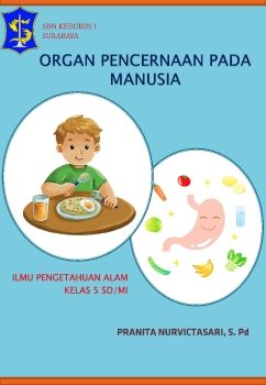 Organ Pencernaan_Pranita