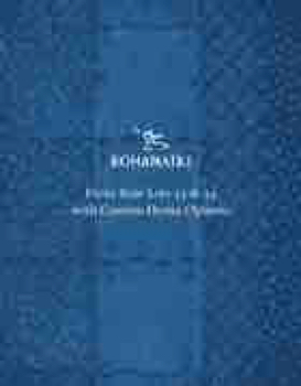 Kohanaiki - Lot 33 