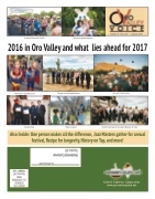 January OV Voice 2017